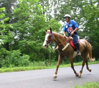 Jack Begaud French Endurance Rider